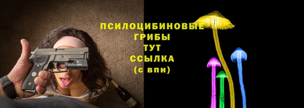 mix Надым