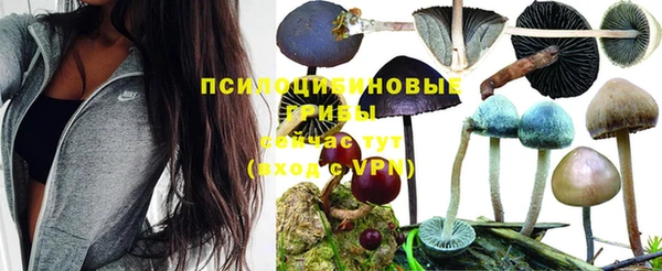 трава Наволоки