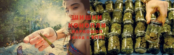 трава Наволоки