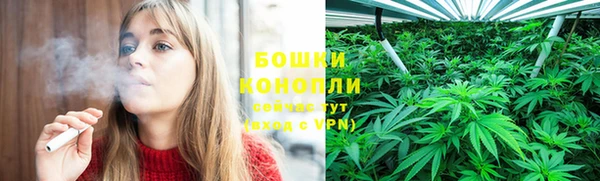 трава Наволоки