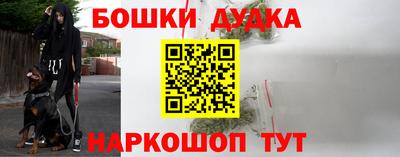 СК Краснознаменск